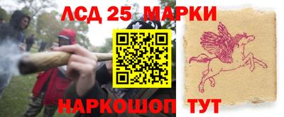 трава Новодвинск