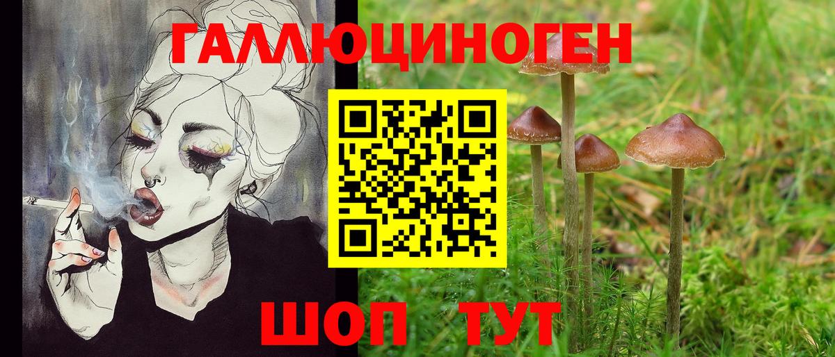 Галлюциногенные грибы Cubensis  Вход с VPN  Рассказово 